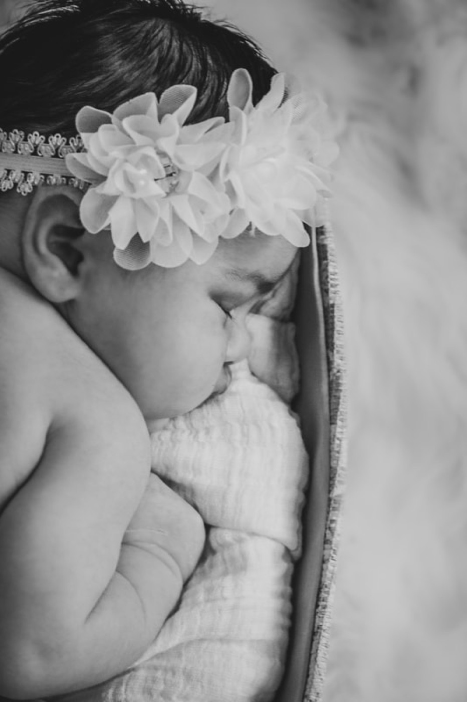 KMD Photography portrait