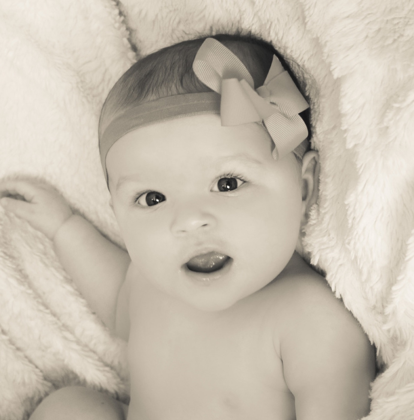 KMD Photography portrait